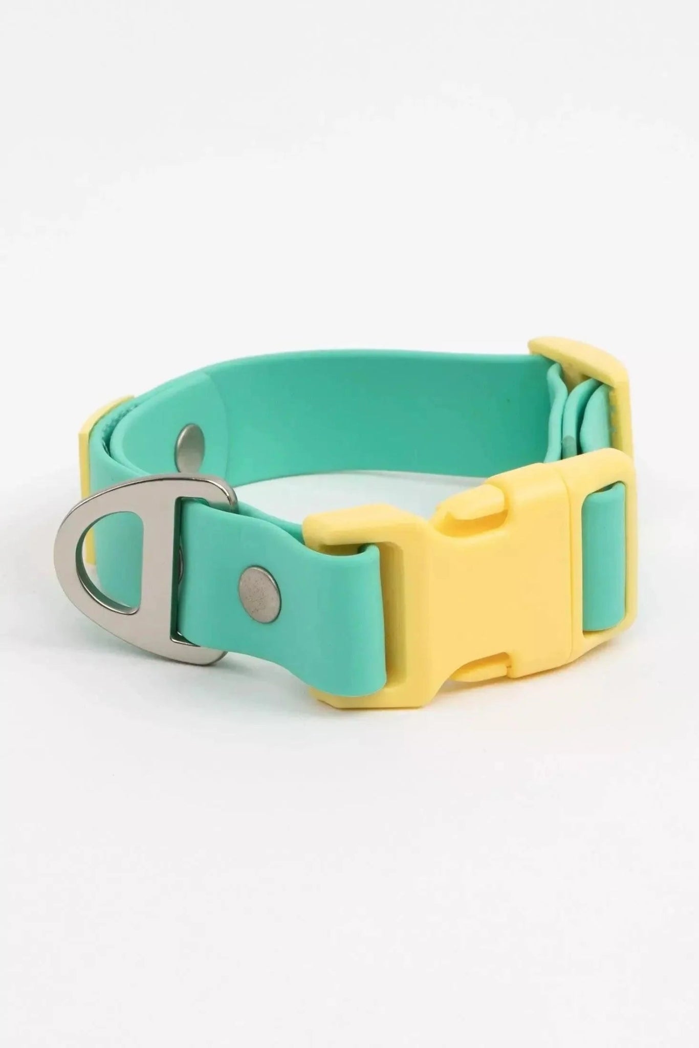 Aria the Fox Island Vibes Waterproof Dog Collar Aqua Sunshine Yellow