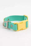 Aria the Fox Island Vibes Waterproof Dog Collar - Collar