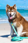 Aria the Fox Island Vibes Waterproof Dog Leash - Leash