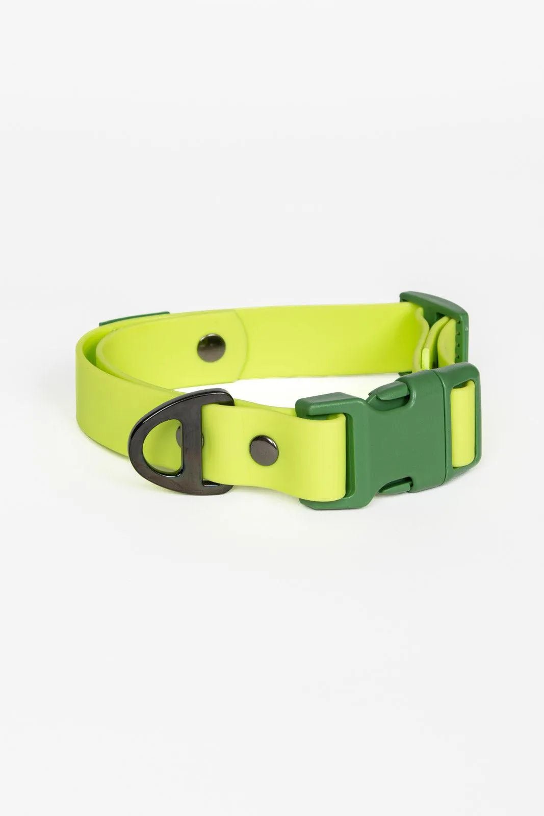 Aria the Fox Mossy Pine Waterproof Dog Collar Chartreuse Willow Green
