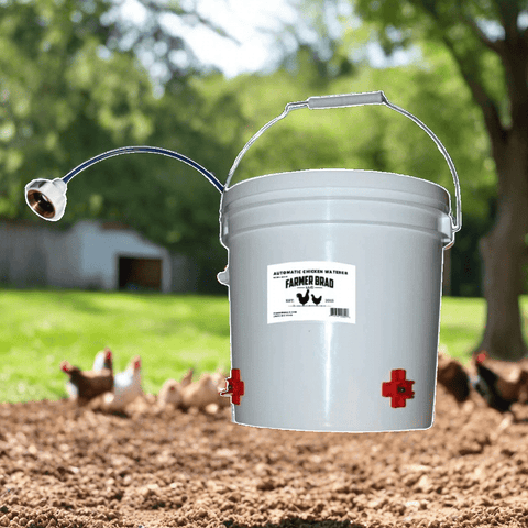 Automatic Chicken Waterer (2 Gallon) - Chicken Waterer