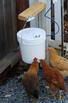 Automatic Chicken Waterer (2 Gallon) - Chicken Waterer