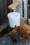 Automatic Chicken Waterer (2 Gallon) - Chicken Waterer