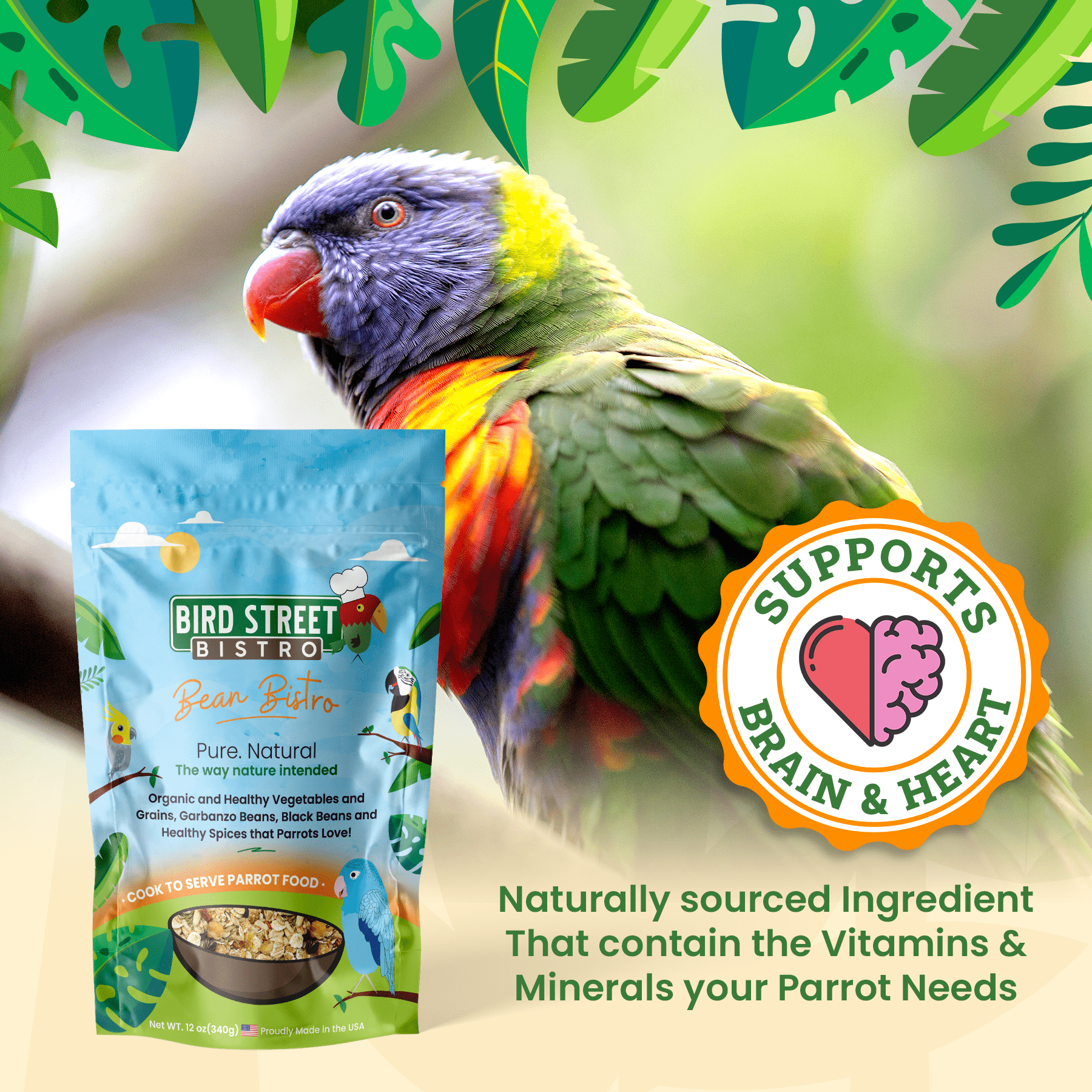 Bean Bistro Feast on the Fly