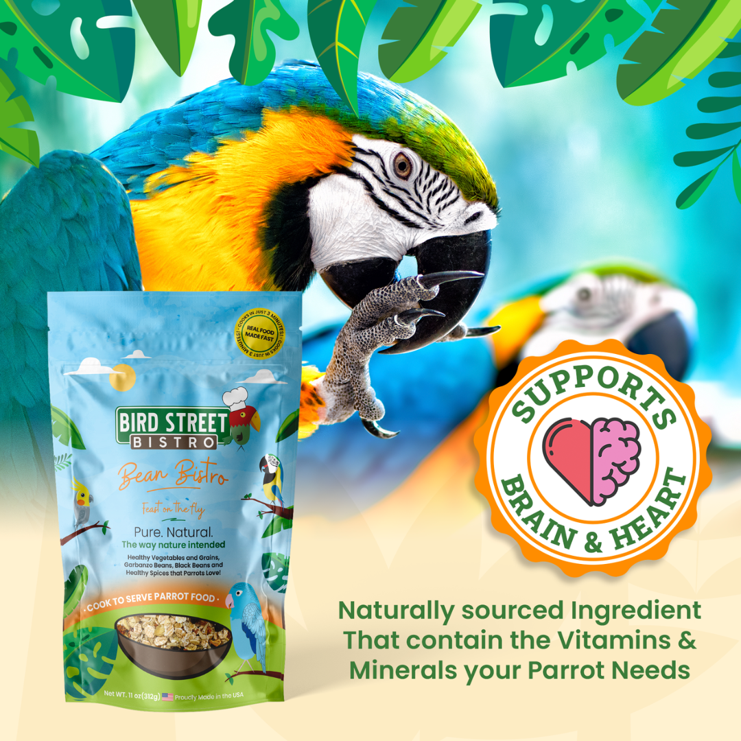 Bean Bistro Feast on the Fly