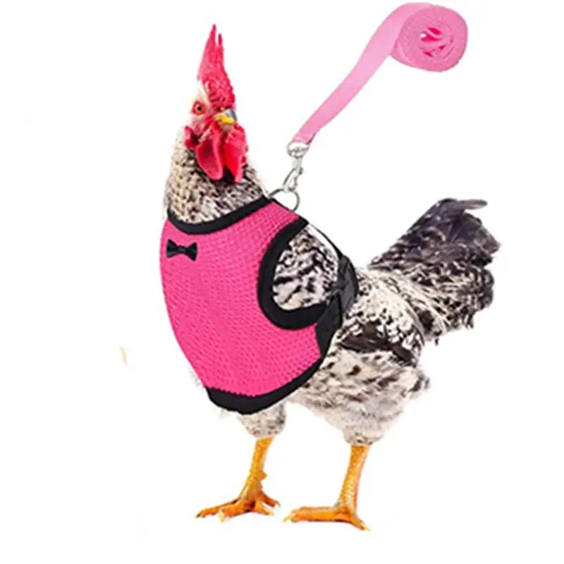 Breathable Adjustable Chicken Harness - Perfect for Ducks, Geese, and Other Poultry Pets PINK