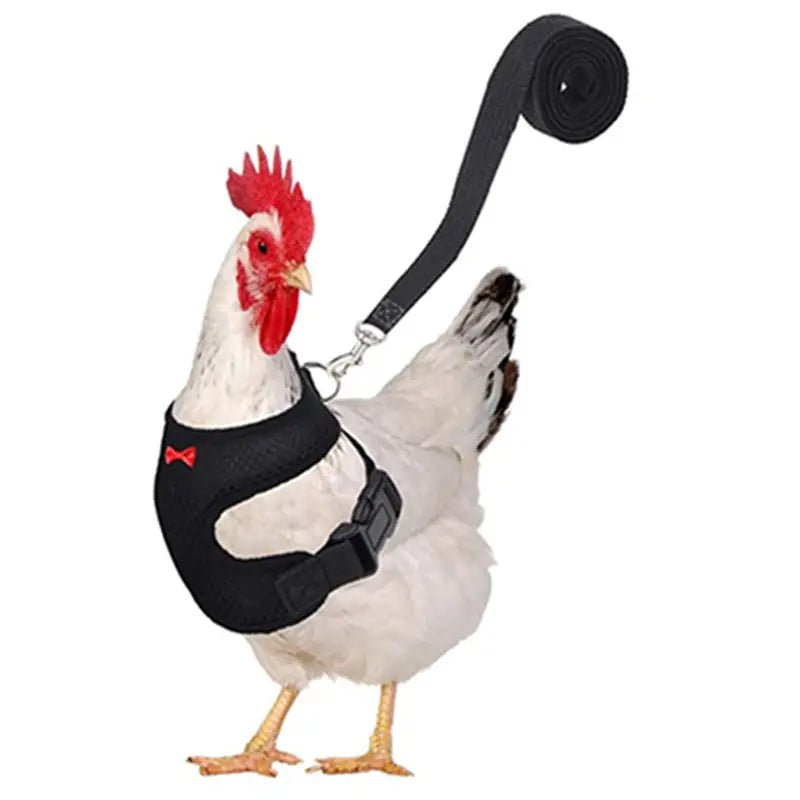 Breathable Adjustable Chicken Harness - Perfect for Ducks, Geese, and Other Poultry Pets BLACK