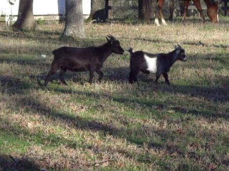 Circle of Friends - Sanctuary Support