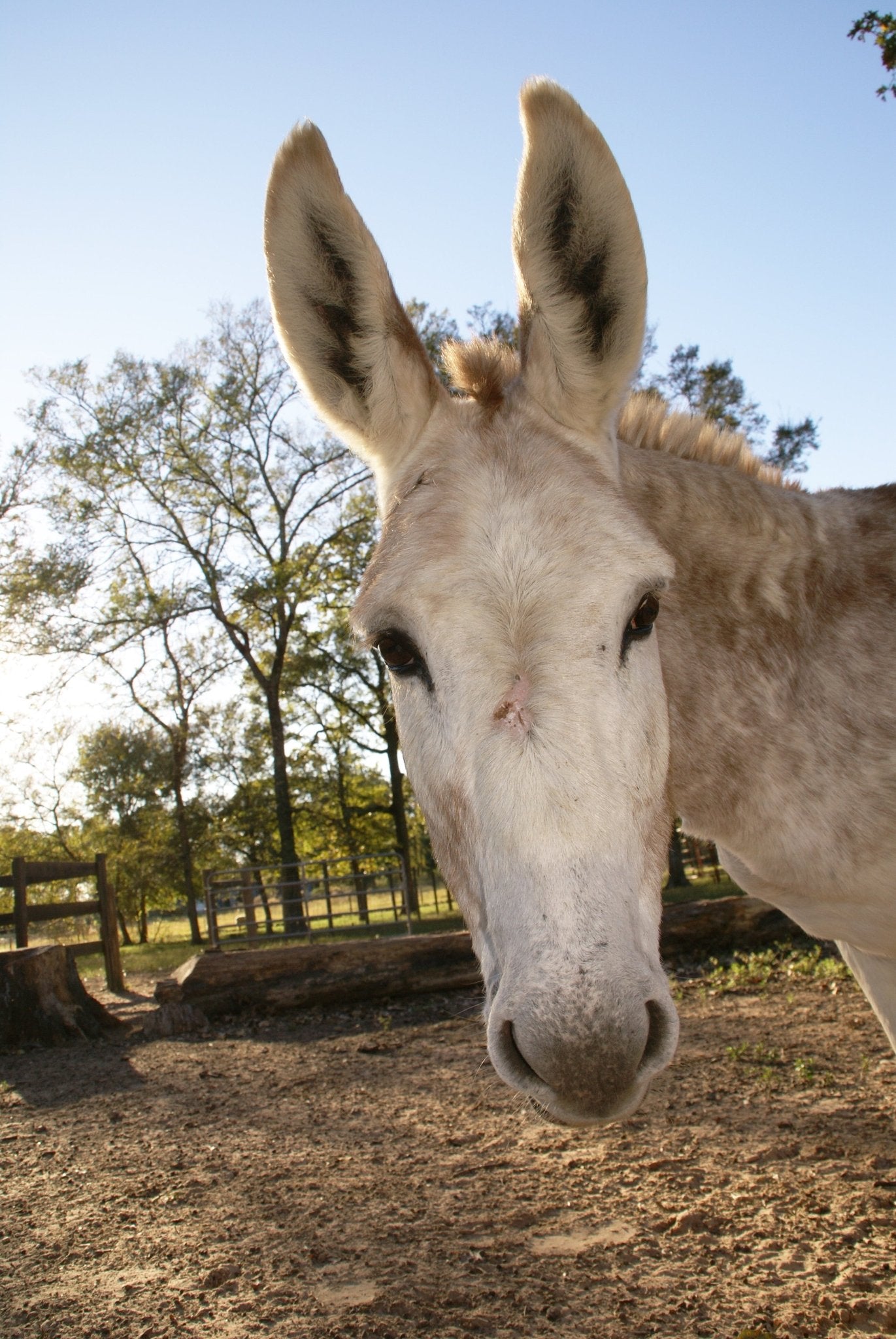 Circle of Friends - Sanctuary Support