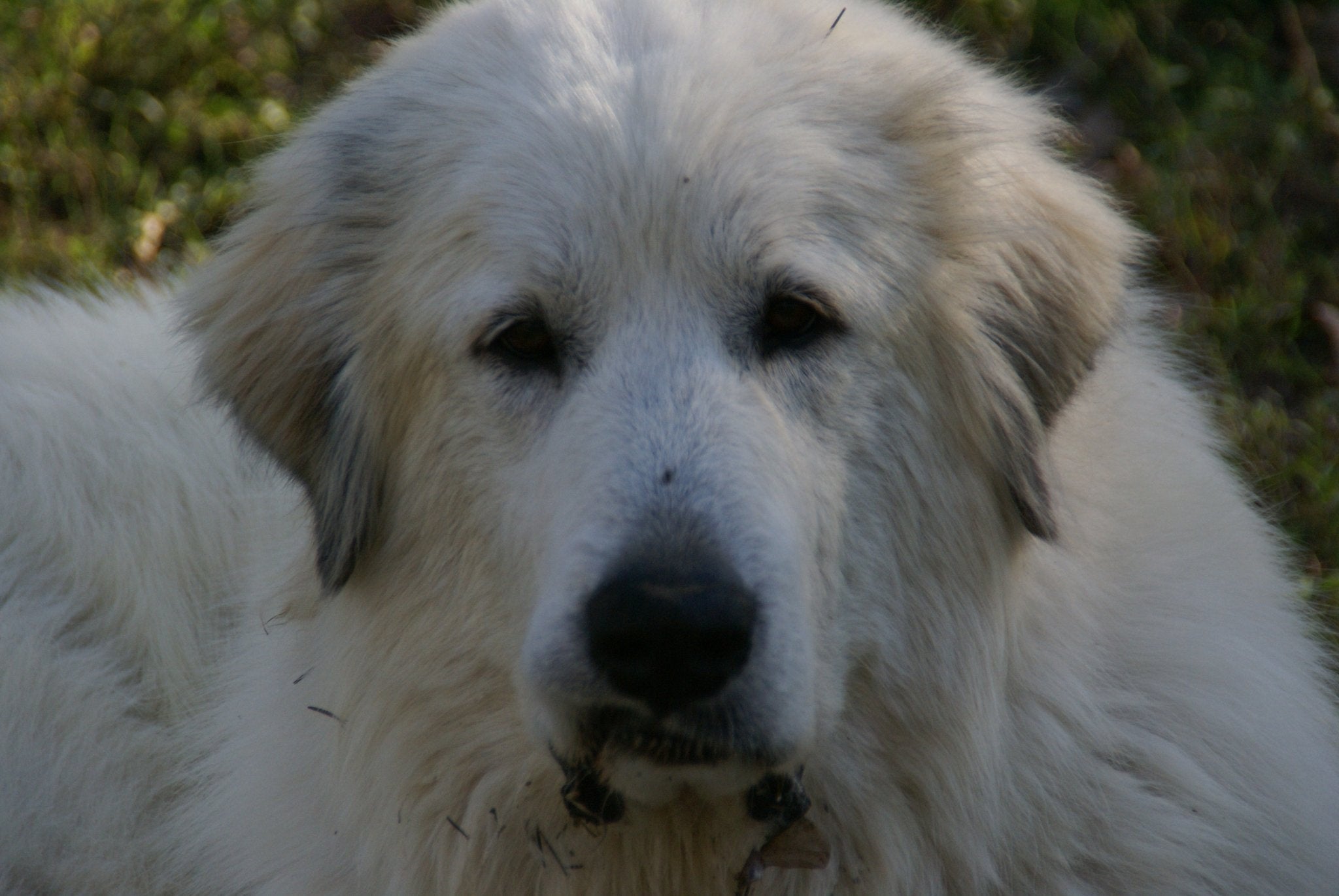 Circle of Friends - Sanctuary Support