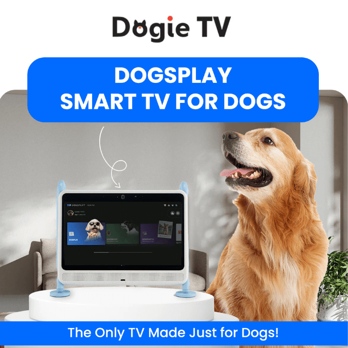 DOGSPLAY - SMART TV FOR DOGS
