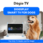 DOGSPLAY - SMART TV FOR DOGS - 