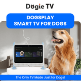 DOGSPLAY - SMART TV FOR DOGS - 