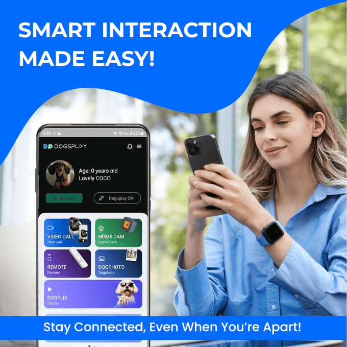 DOGSPLAY - SMART TV FOR DOGS