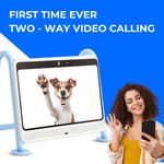 DOGSPLAY - SMART TV FOR DOGS - 