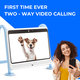 DOGSPLAY - SMART TV FOR DOGS - 