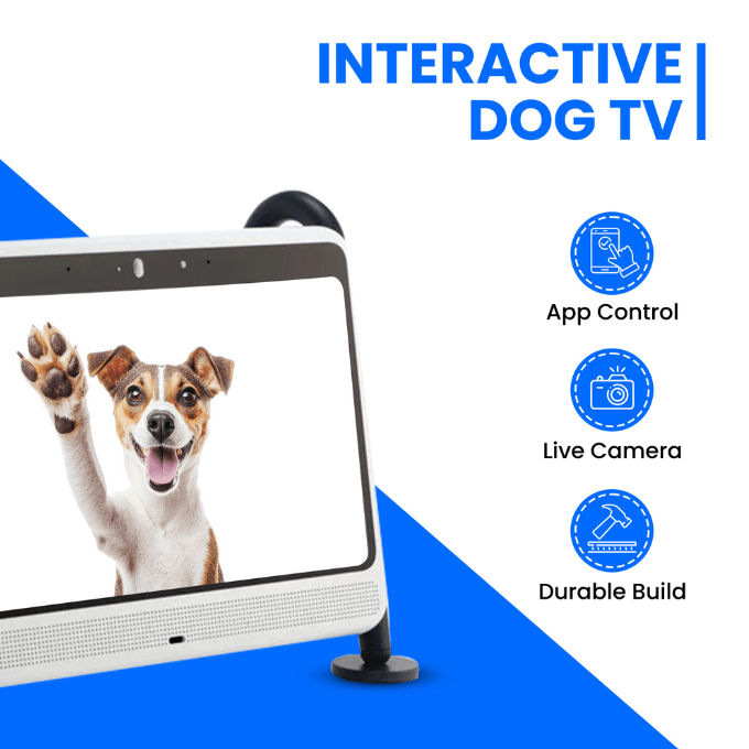 DOGSPLAY - SMART TV FOR DOGS