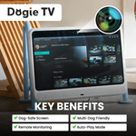 DOGSPLAY - SMART TV FOR DOGS - 