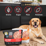 Freeze Dried Food | Beef Recipe | 25oz Bag