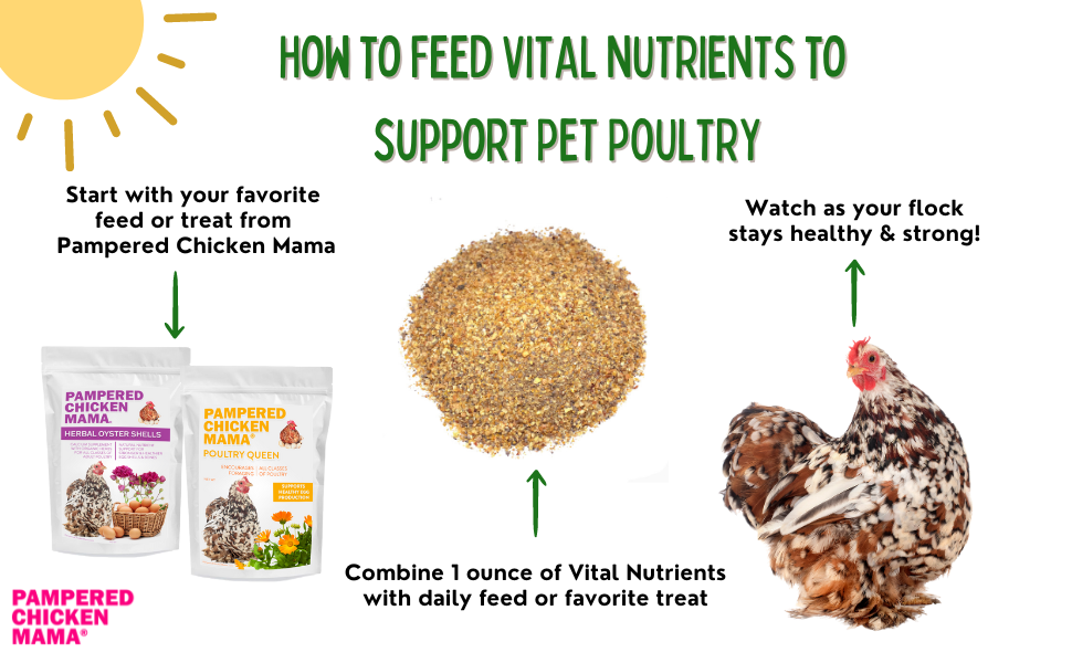 Chicken Feed Guide: Vital Nutrients for Poultry by Pampered Chicken Mama and Crazy K Farm - Healthy Chickens!