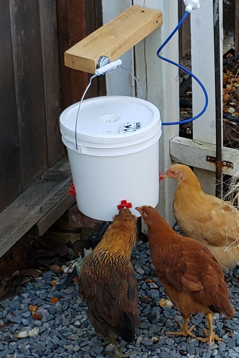Automatic Chicken Waterer (2 Gallon)