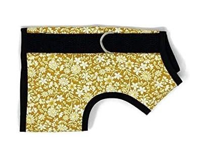 Kitty Holster Cat Harness (Made in USA) Blooming Gold
