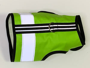 Loud Lime