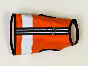 Outrageous Orange
