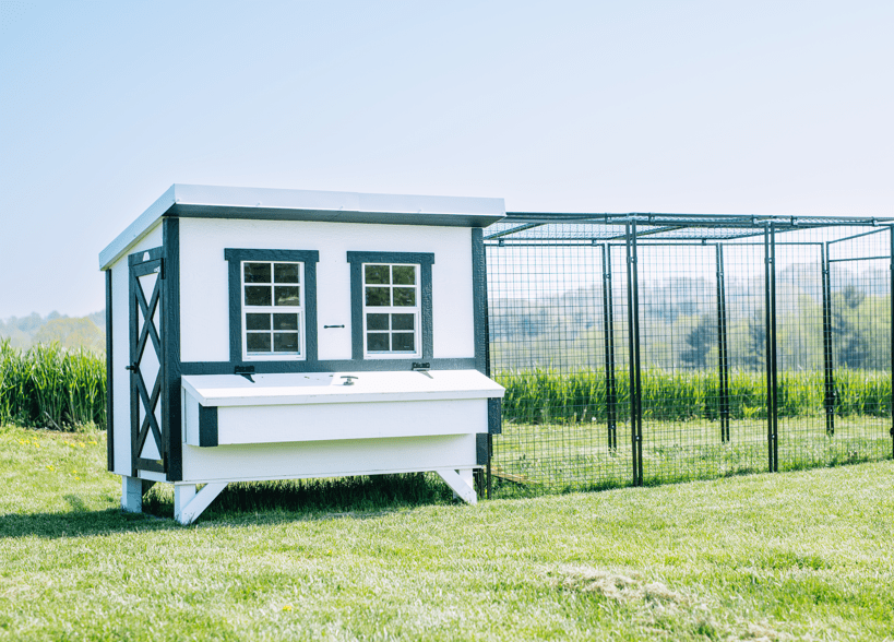 Large Chicken Coop - Up to 15 Chickens