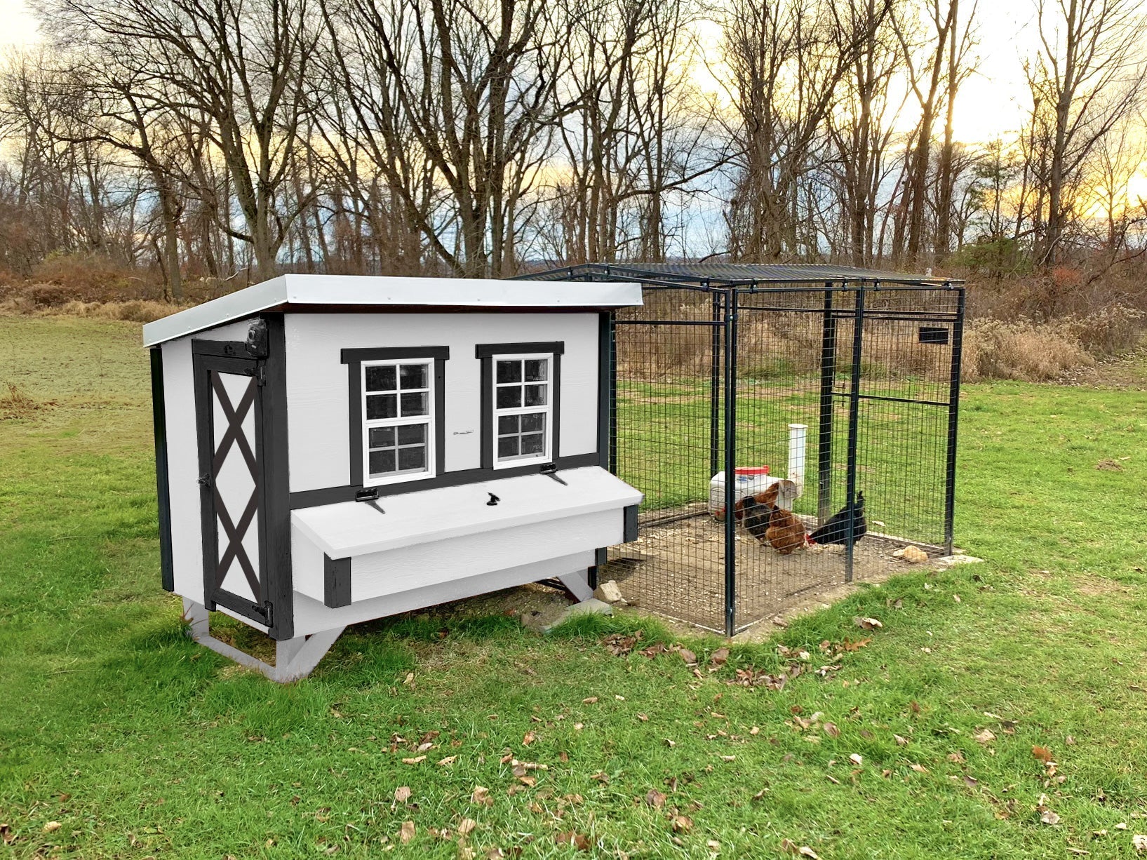 Large Chicken Coop - Up to 15 Chickens