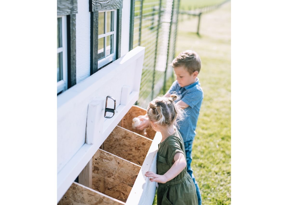 Large Chicken Coop - Up to 15 Chickens - Chicken Coops