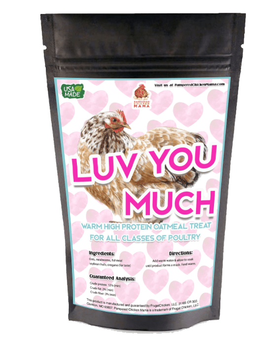 Luv U Much Mealworm & BloomGrubs Treat: Just Mix With Water For A Fun Treat!