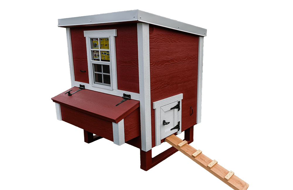Medium Chicken Coop - Up to 10 Chickens