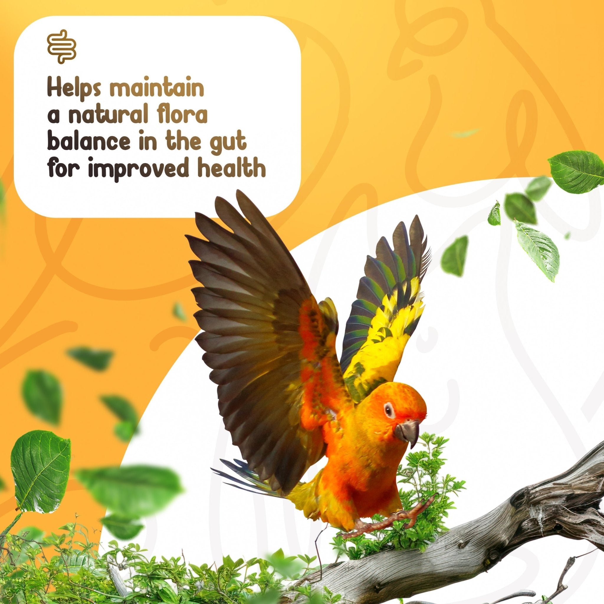 Organic Pre+Pro+Post Biotics Blend for Parrots - 1.06oz