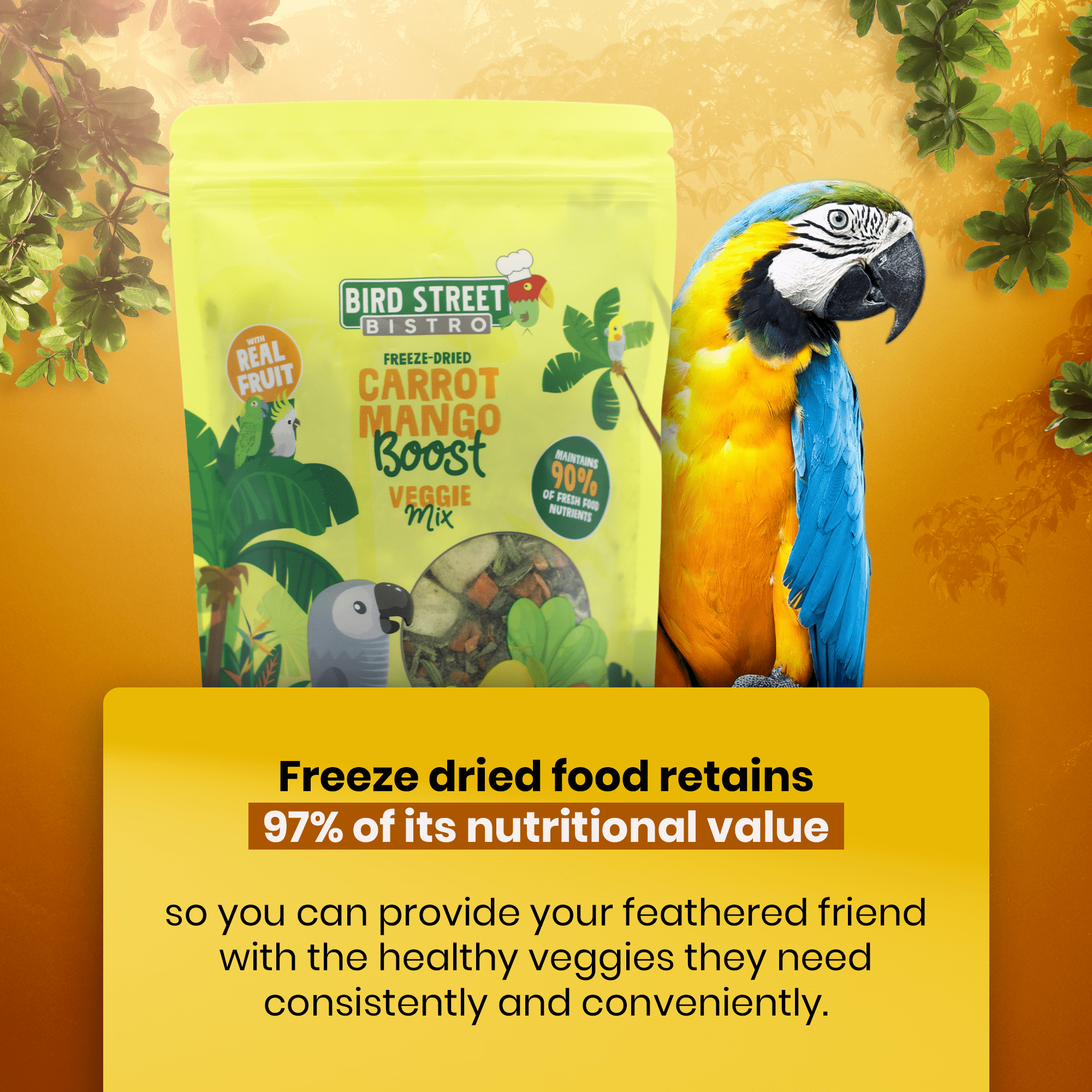 Parrot Food Super-Pack