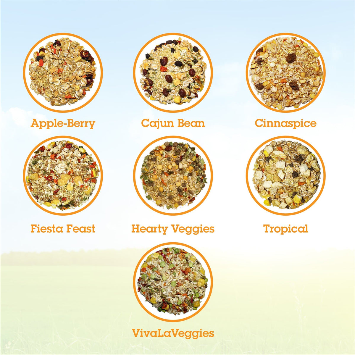 Parrot Food Variety Pack