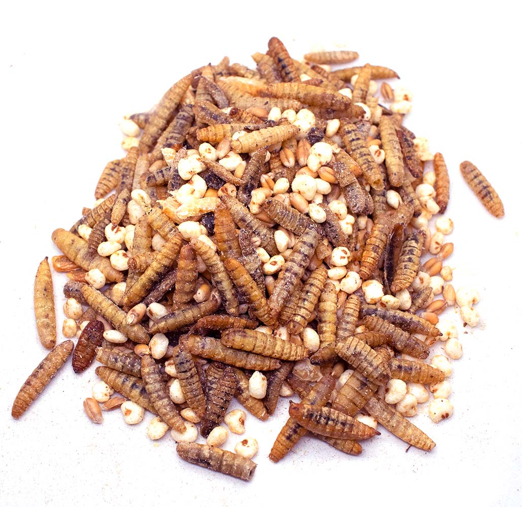 Valentine's Goody Box - 7 Treats (12 pounds total!)