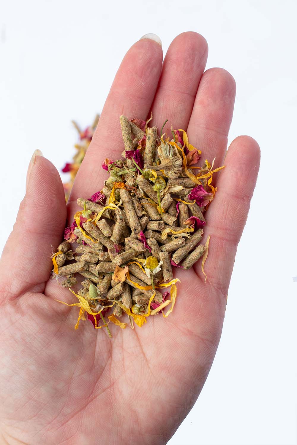 Herbal Rabbit Feed Pellets in Hand - BUNLUV Healthy Food with Rose & Calendula Petals