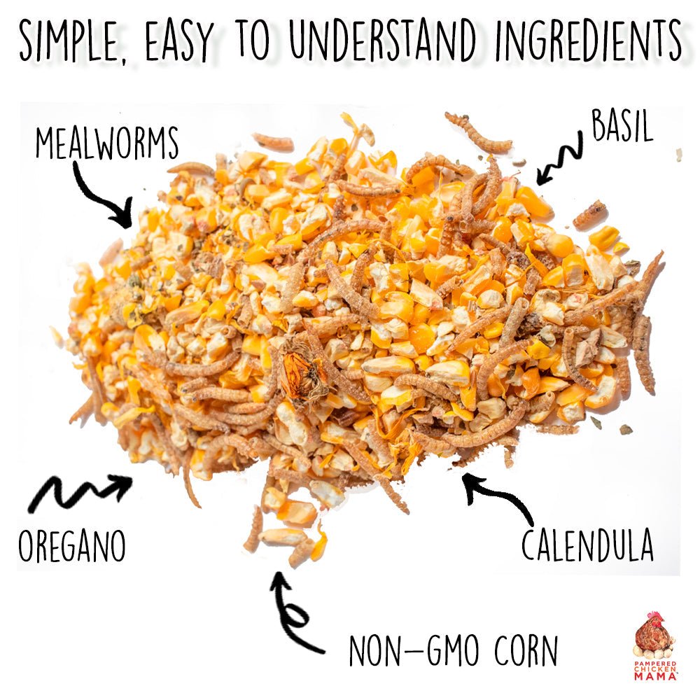 Poultry Queen Mealworm, Premium Corn, Flax Seeds, & Herb Treat For Pet Chickens