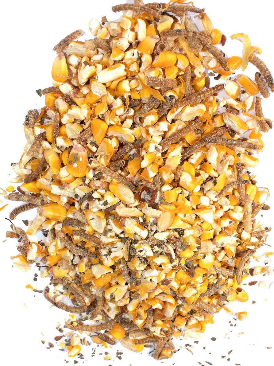 Poultry Queen Mealworm, Premium Corn, Flax Seeds, & Herb Treat For Pet Chickens