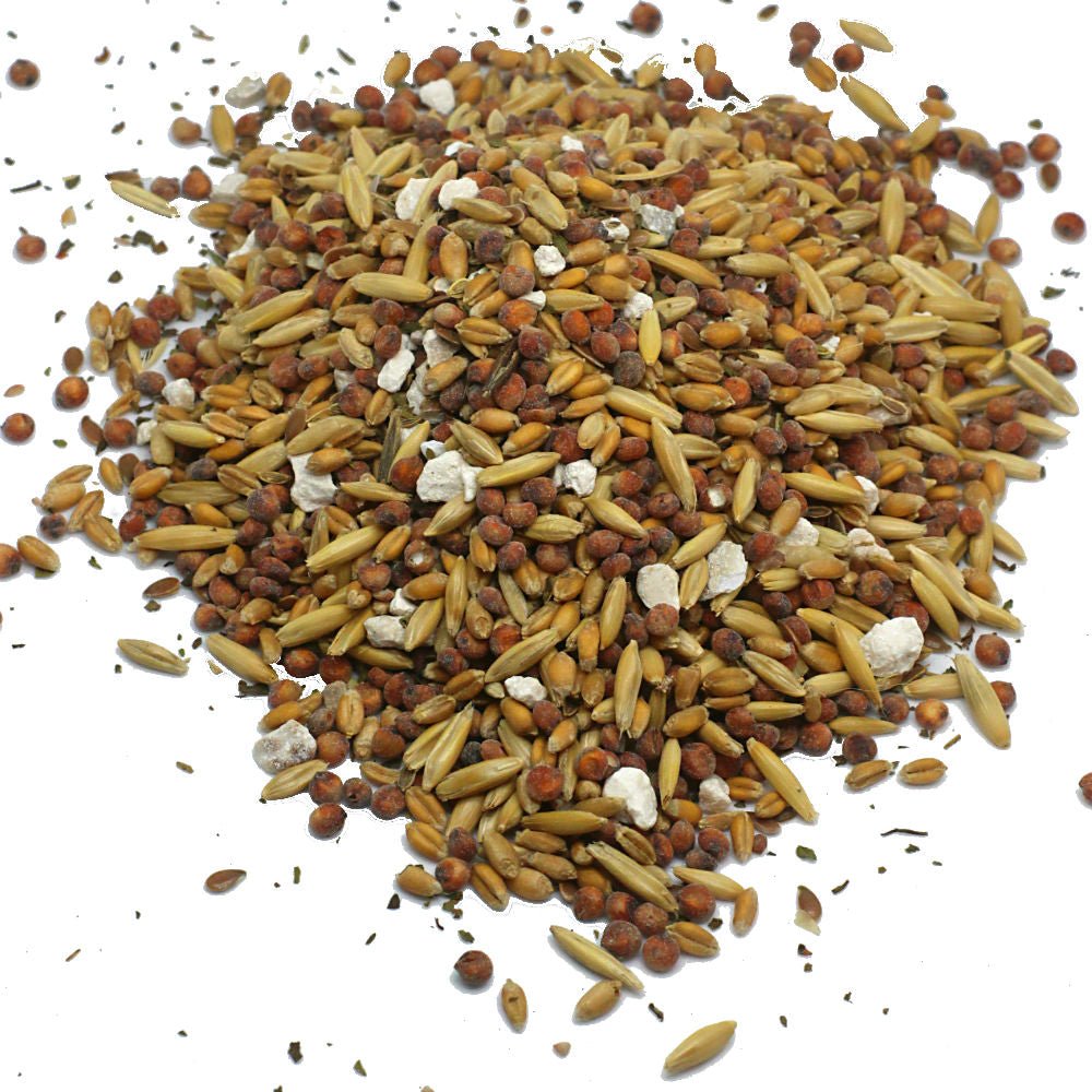 Premium Chicken Scratch With Herbs To Encourage Positive Behaviors