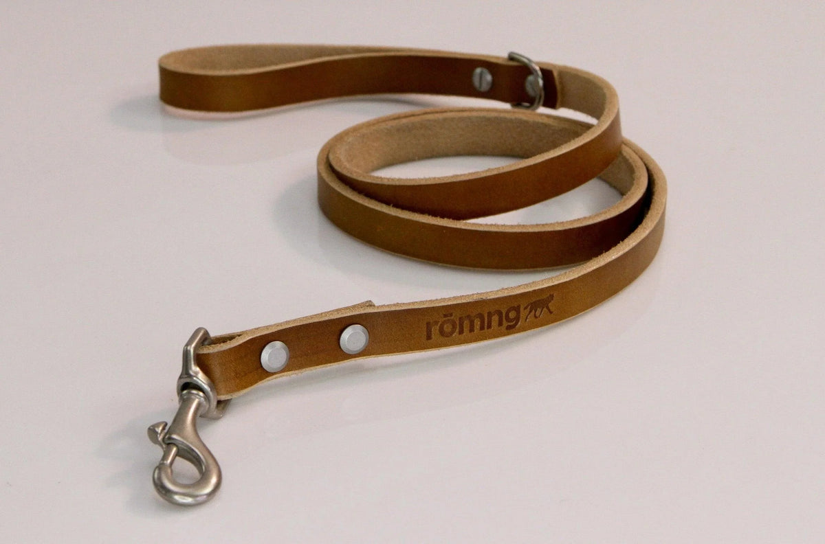 48" Genuine Leather Dog Leashes - Made in USA