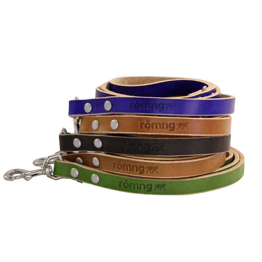 48" Genuine Leather Dog Leashes - Made in USA