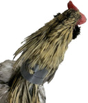 Rooster Saver Volume-Reducing Crow Collar (Made in USA) - Chicken harness