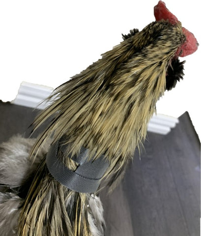 Rooster Saver Volume-Reducing Crow Collar (Made in USA) - Chicken harness