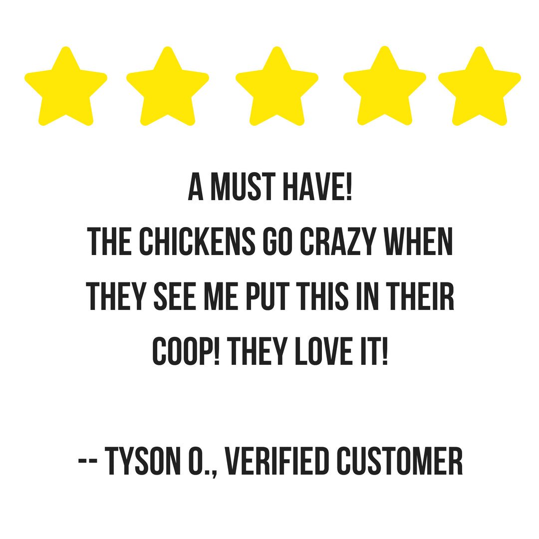 Scent of Spring Nesting Herbs For Backyard Chickens With Lavender, Chamomile, Calendula, and more!