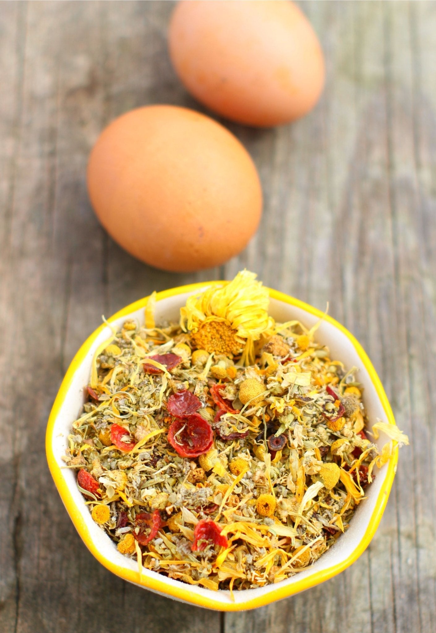 Scent of Spring Nesting Herbs For Backyard Chickens With Lavender, Chamomile, Calendula, and more!