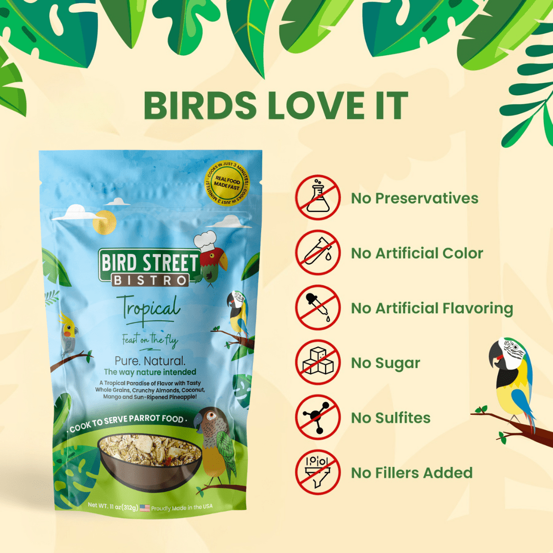 Tropical - Feast on the Fly