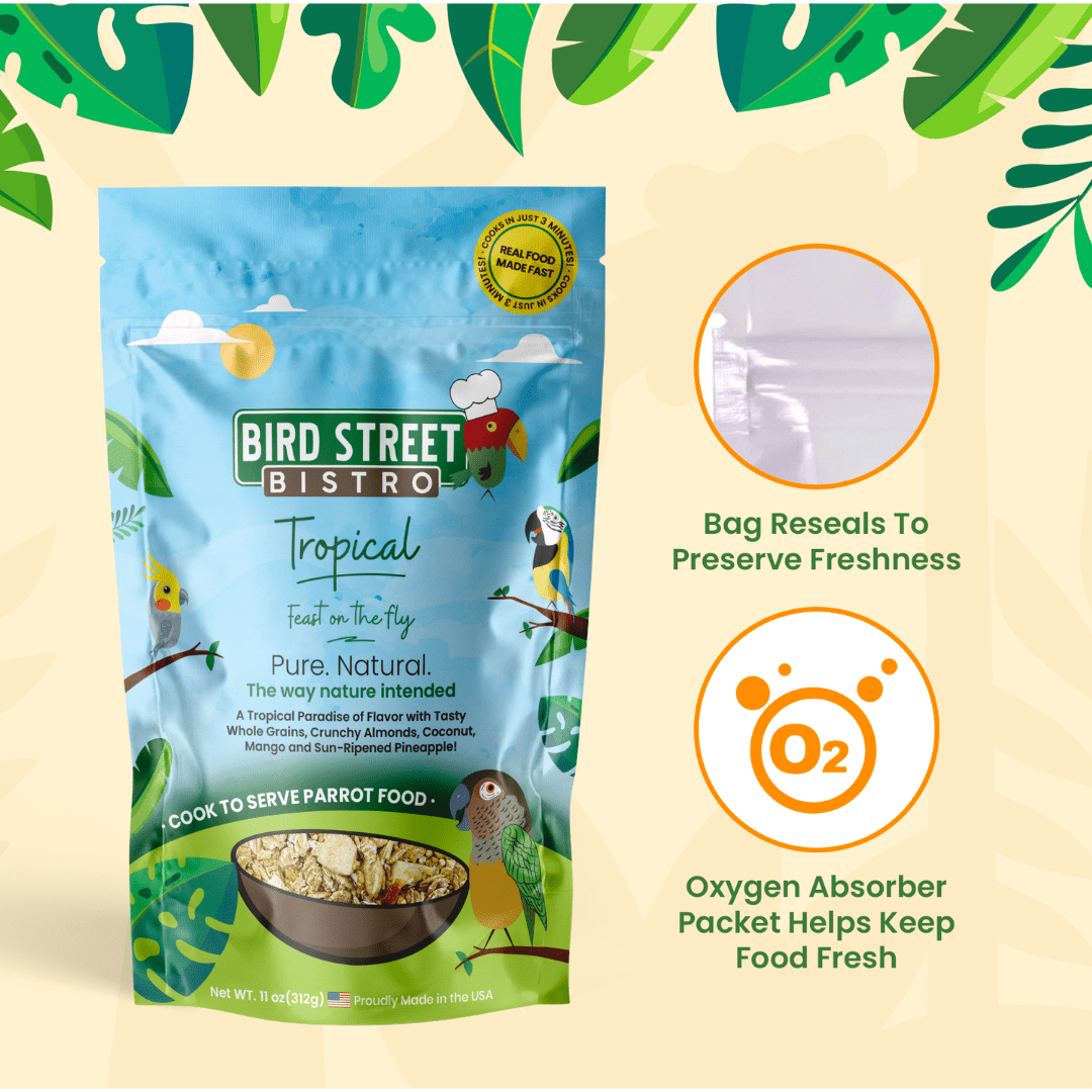 Tropical - Feast on the Fly