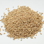 Pile of Whole Grains: Barley Ingredient for Crazy K Farm Homemade Dog Food